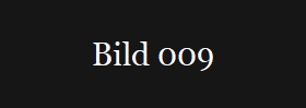 Bild 009
