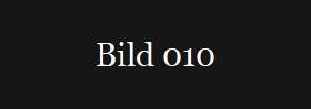 Bild 010