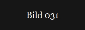 Bild 031