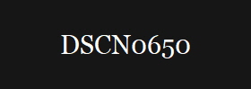 DSCN0650