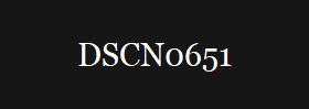 DSCN0651