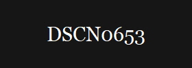 DSCN0653