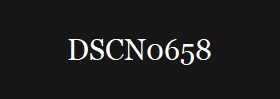 DSCN0658