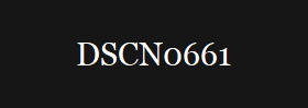 DSCN0661