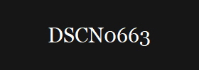 DSCN0663