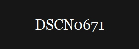 DSCN0671