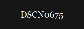 DSCN0675