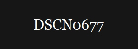 DSCN0677