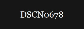 DSCN0678