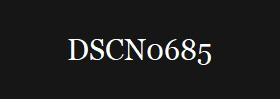 DSCN0685