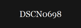 DSCN0698