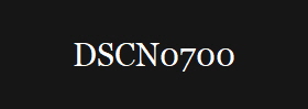 DSCN0700