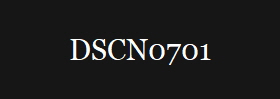 DSCN0701