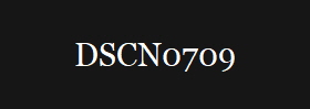 DSCN0709