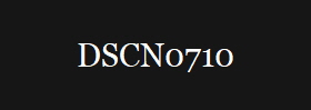 DSCN0710