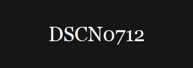 DSCN0712
