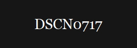 DSCN0717
