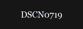 DSCN0719