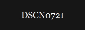 DSCN0721