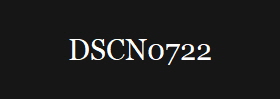 DSCN0722
