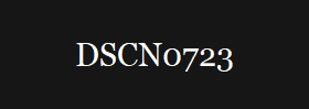 DSCN0723