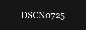 DSCN0725