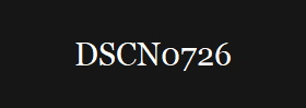 DSCN0726