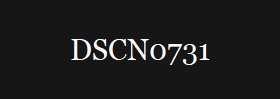 DSCN0731