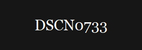 DSCN0733