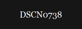 DSCN0738