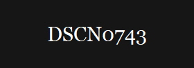 DSCN0743