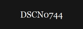 DSCN0744