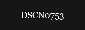 DSCN0753