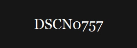 DSCN0757