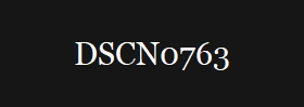 DSCN0763