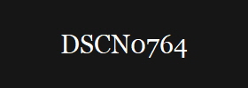 DSCN0764