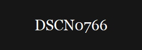DSCN0766