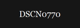 DSCN0770