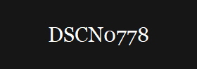 DSCN0778