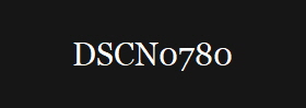 DSCN0780