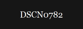 DSCN0782
