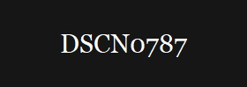 DSCN0787