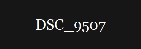 DSC_9507