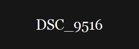 DSC_9516