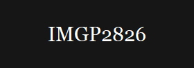 IMGP2826
