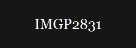 IMGP2831