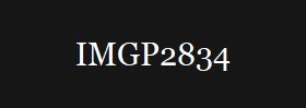IMGP2834