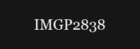 IMGP2838