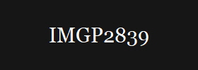 IMGP2839