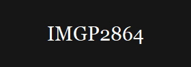 IMGP2864